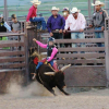 Young person riding a bull